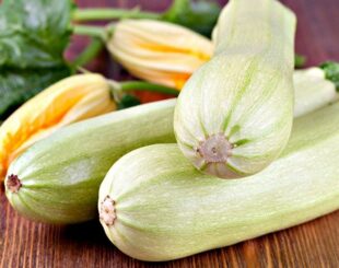 кабачки польза, чем полезны кабачки