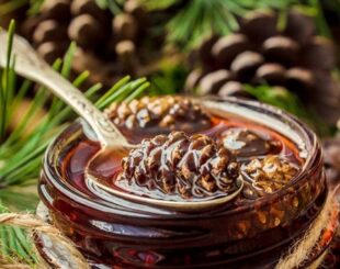 варенье из сосновых шишек