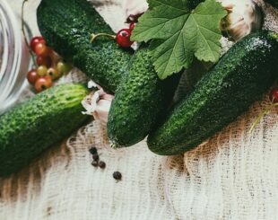 консервированные огурцы