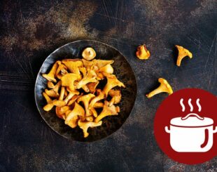 Лисички: рецепт приготування в смальці