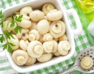 Мариновані гриби рецепти